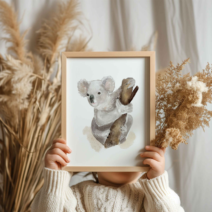 Poster - Australian animals - curious koala