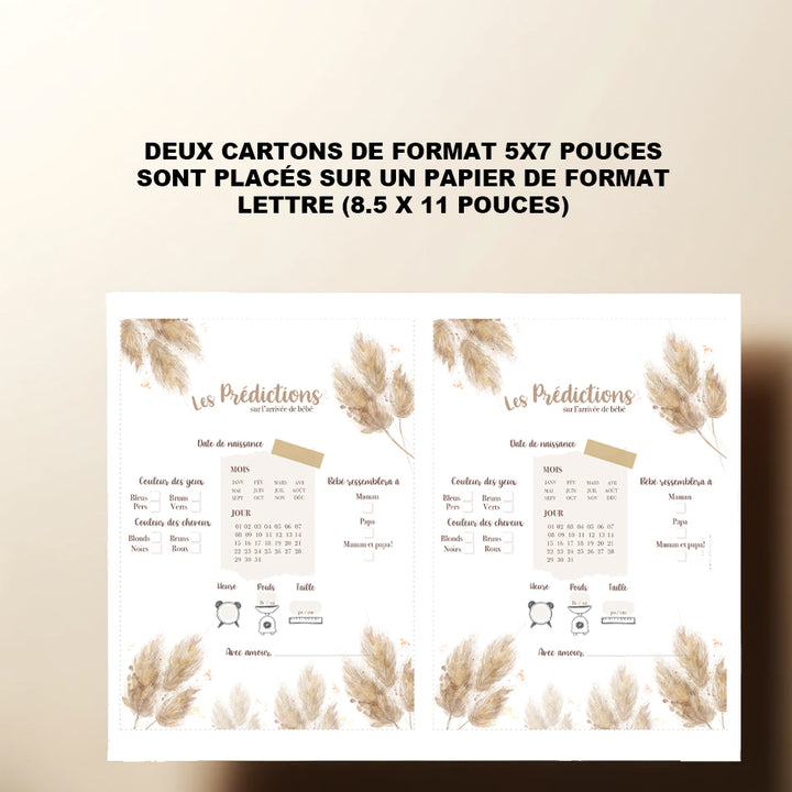 Duo : Cartons les prédictions et souhaits de bébé pampas (version numérique seulement)