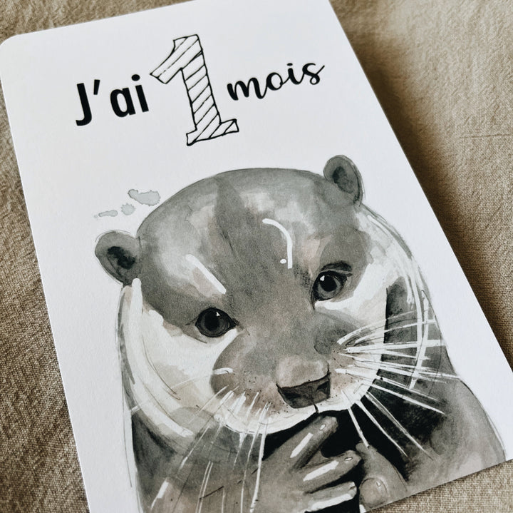 Cartes-étapes · bébé · Animaux de la forêt