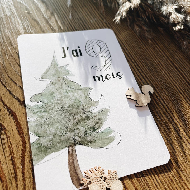 Cartes-étapes · bébé · Animaux de la forêt