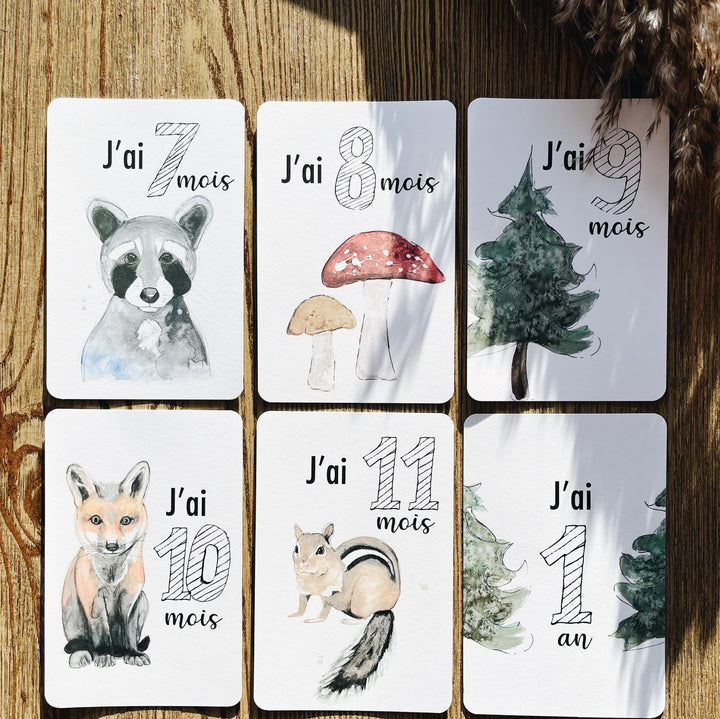 Cartes-étapes · bébé · Animaux de la forêt