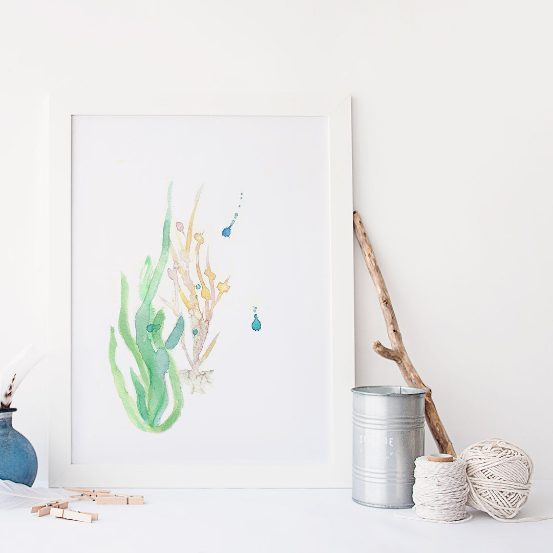 Illustration - Botanique (Plante aquatique) - Algues marines