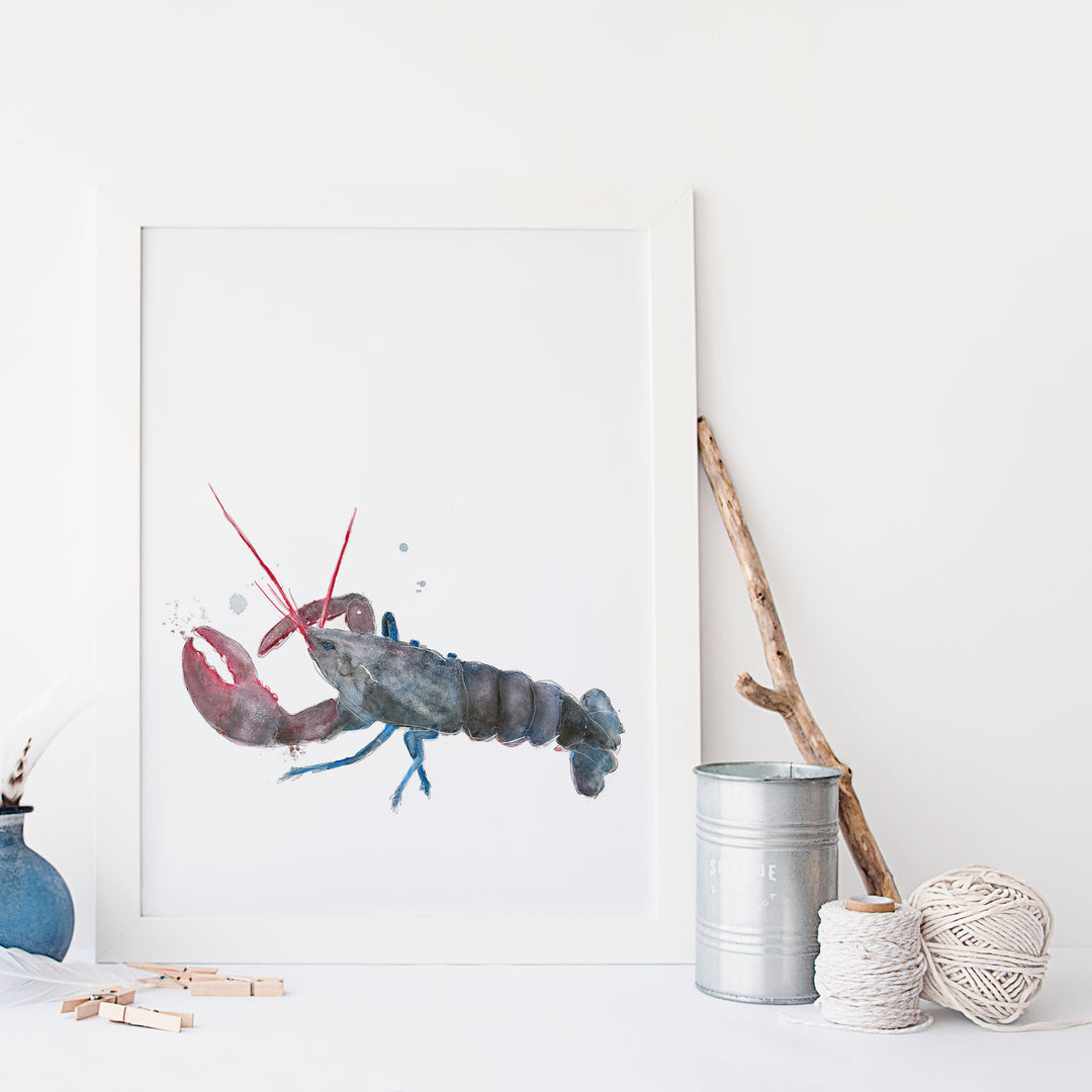 Illustration - Animaux marins - Homard