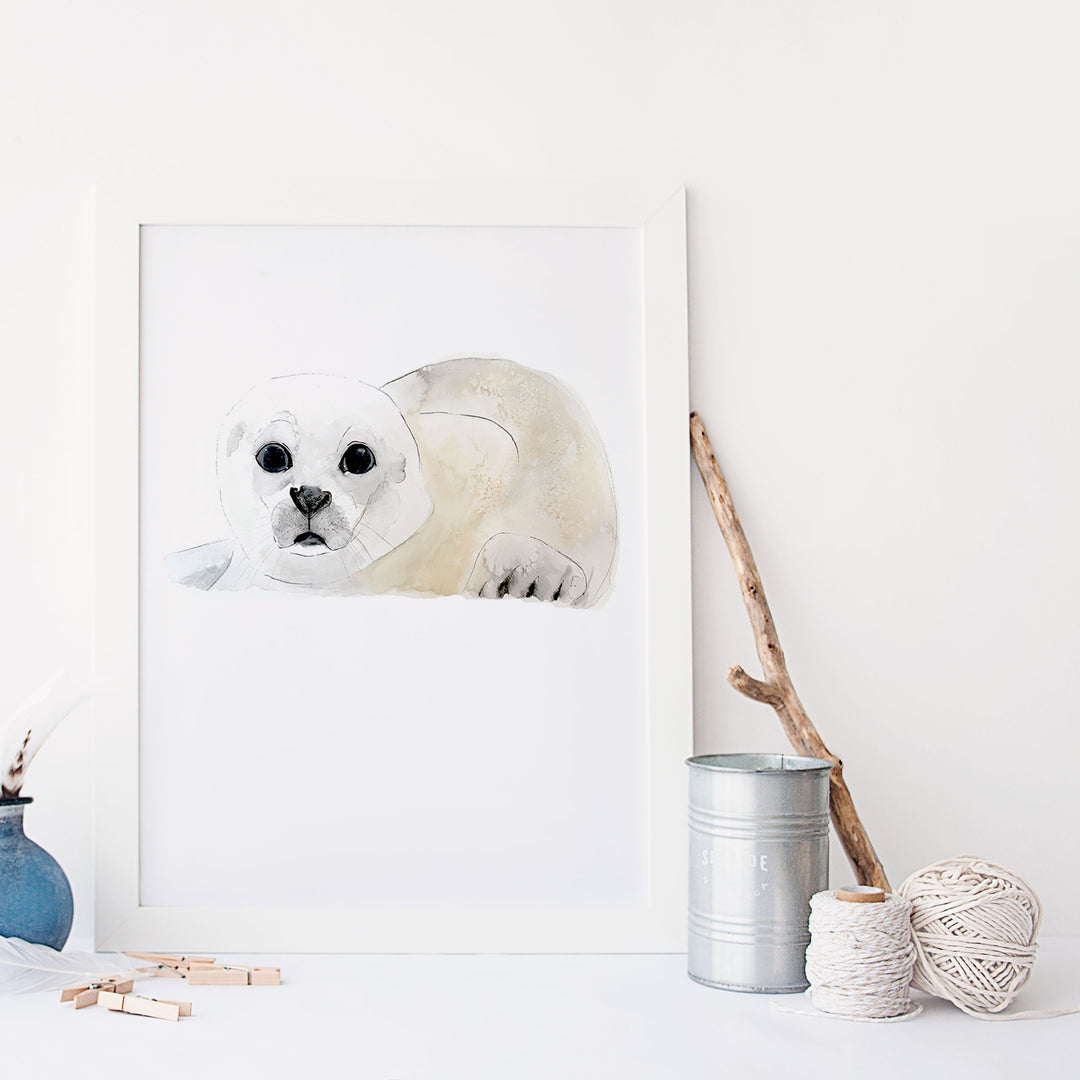 Illustration - Animaux marins - Phoque blanc