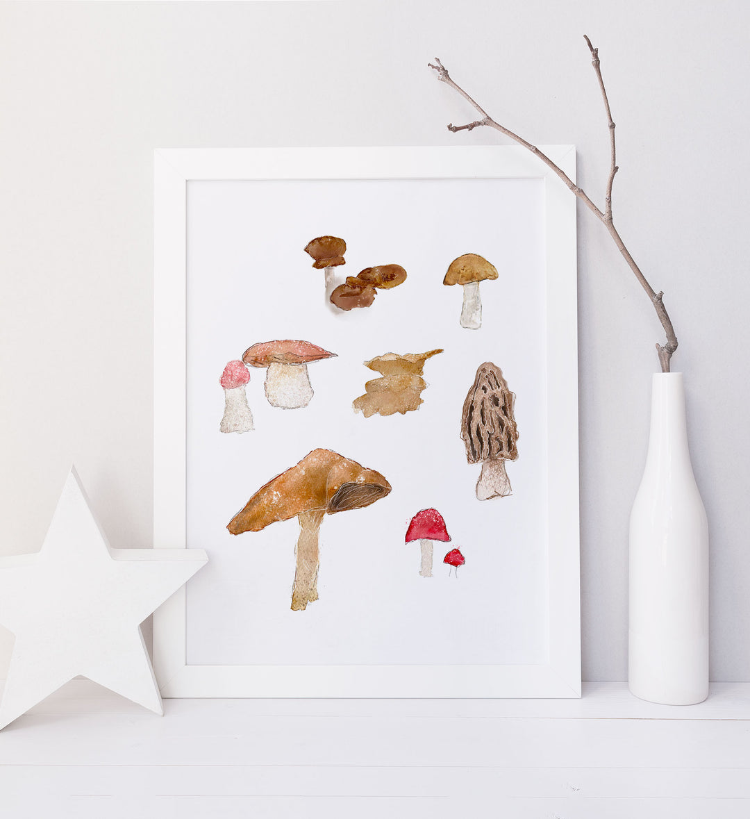 Illustration - Les champignons de la forêt