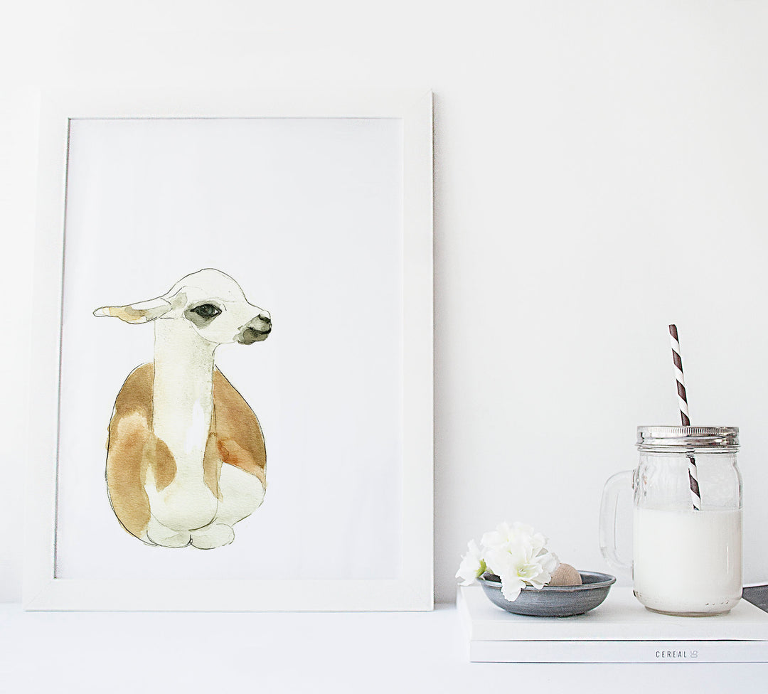 Illustration - Farm animals - Lama