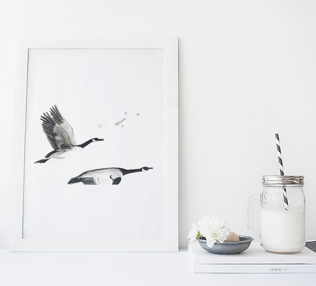 Illustration - Birds - Geese