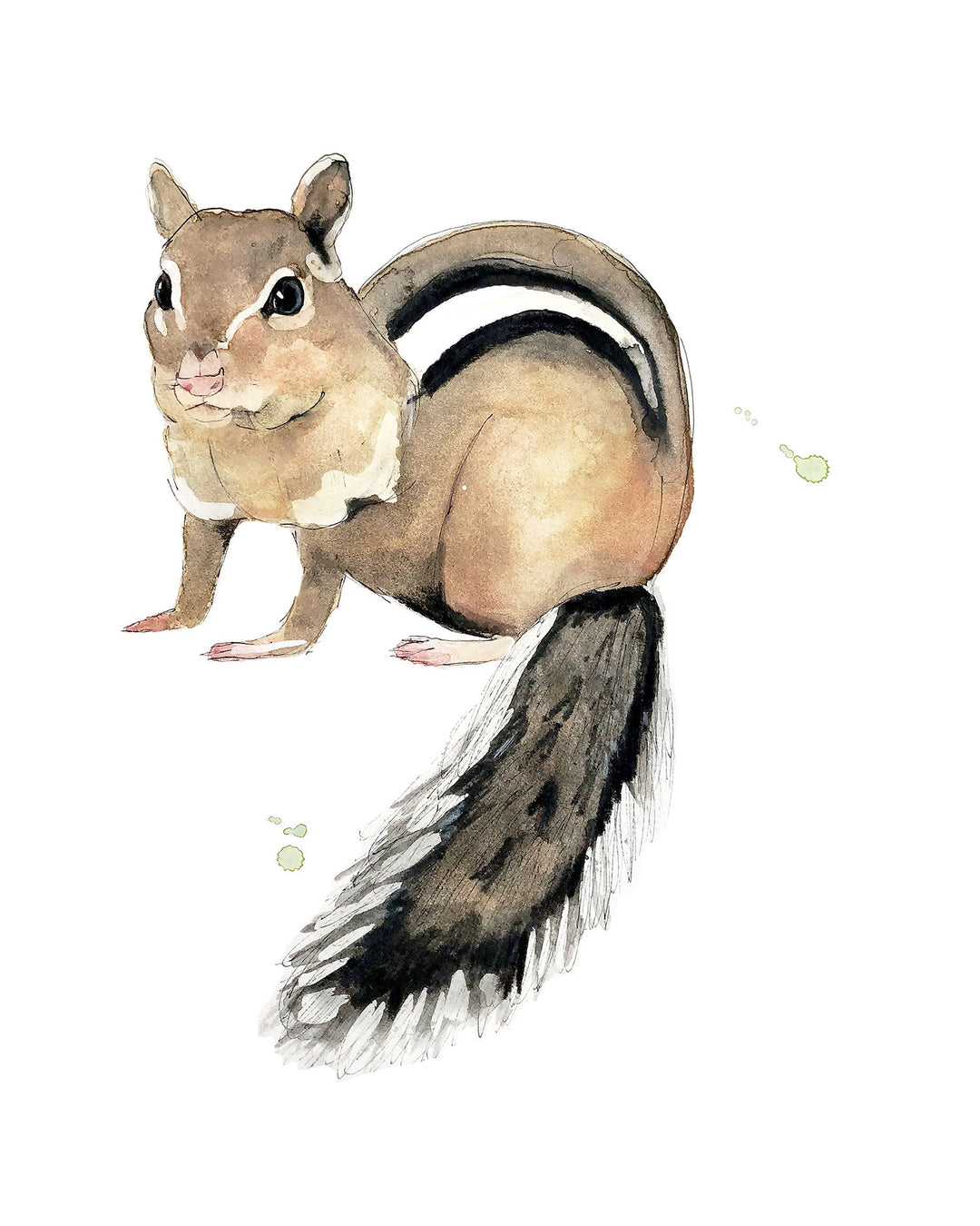 Illustration - Forest Animals - Chipmunk