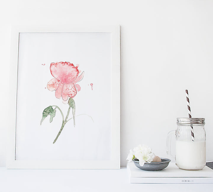 Set of floral illustrations