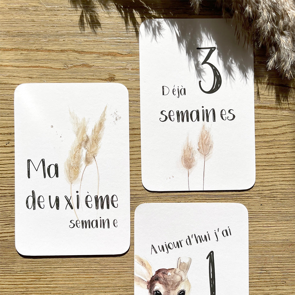 Cartes-étapes · bébé · Faon, pampas et myosotis