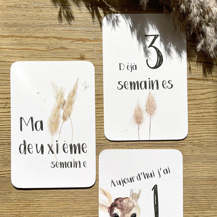 Cartes-étapes · bébé · Faon, pampas et myosotis