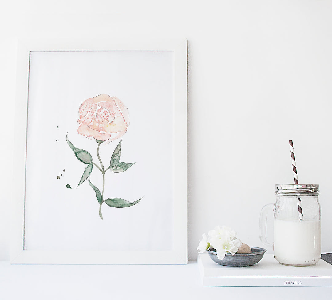Set of floral illustrations