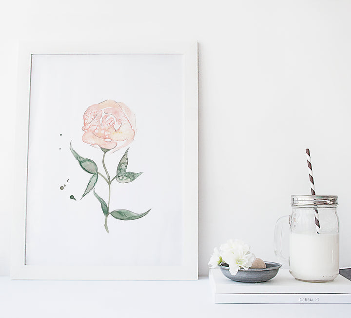 Set of floral illustrations