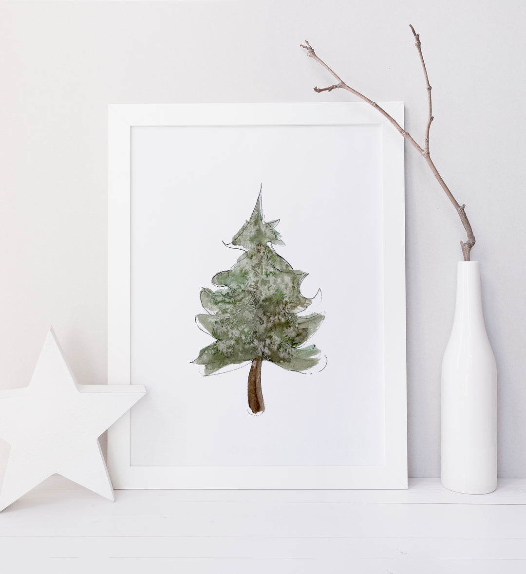 Illustration - Boreal fir