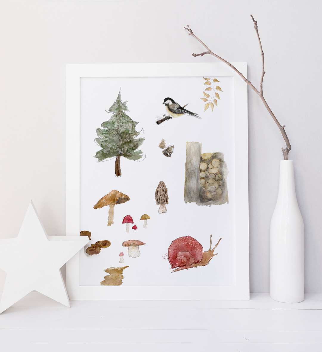 Illustrations