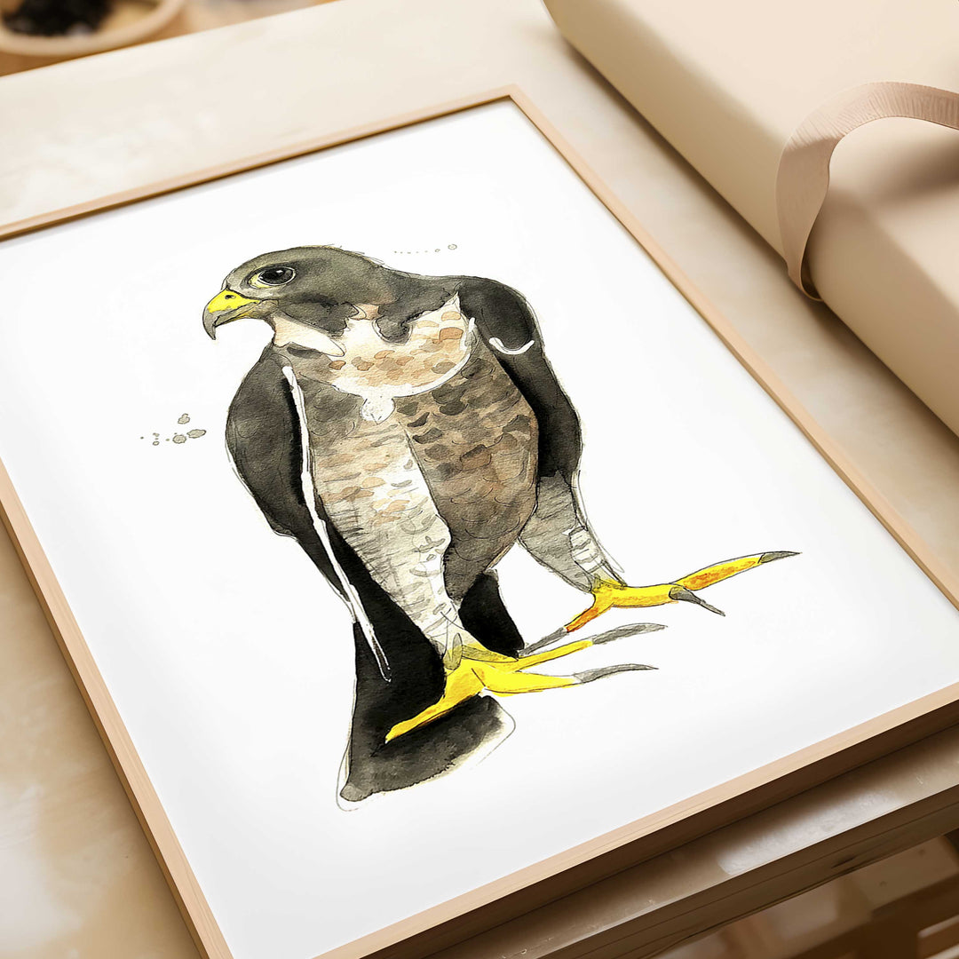 Wall poster - Falcon