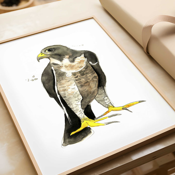 Wall poster - Falcon