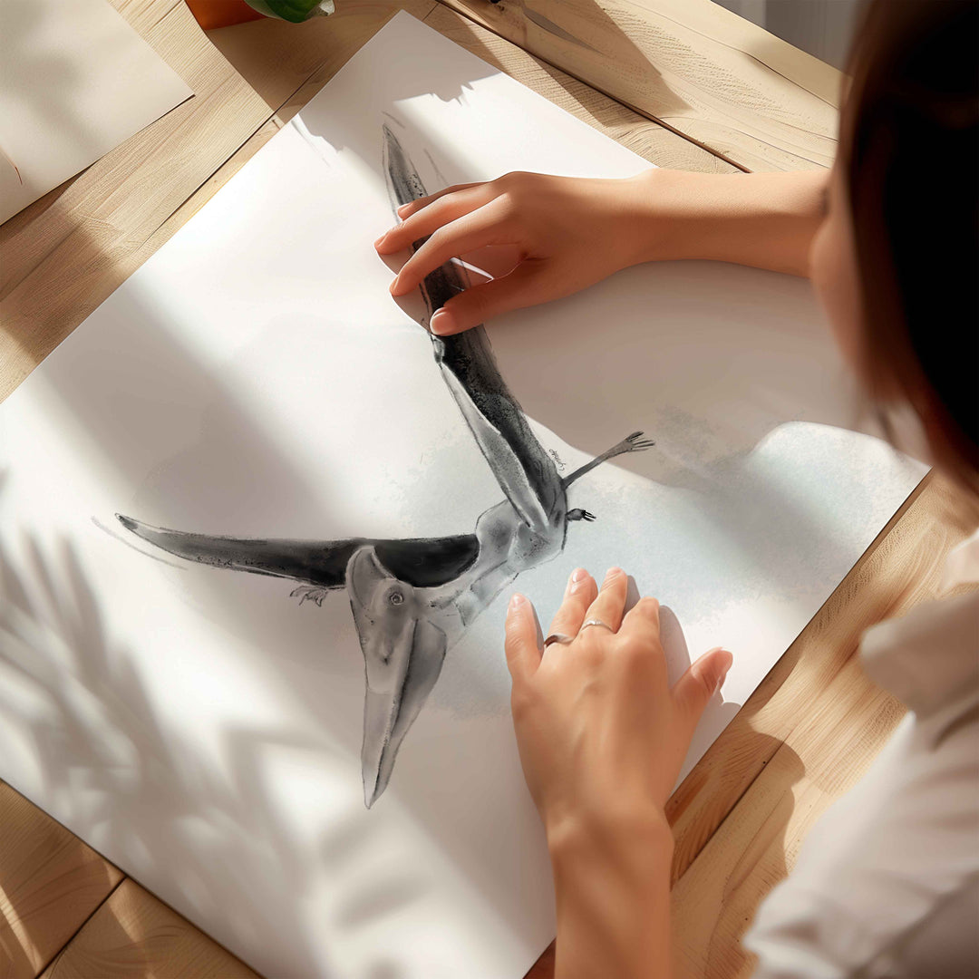 Illustration - Dinosaure - Ptéranodon noir et blanc