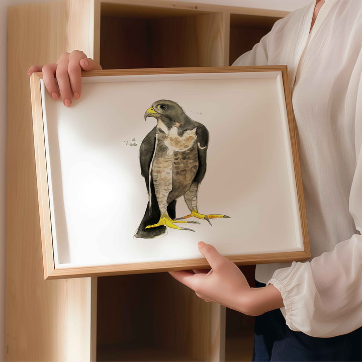 Wall poster - Falcon