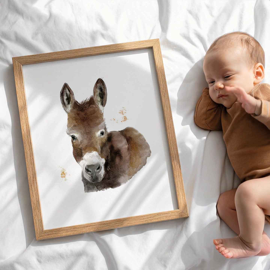 Illustration - Farm Animals - Donkey
