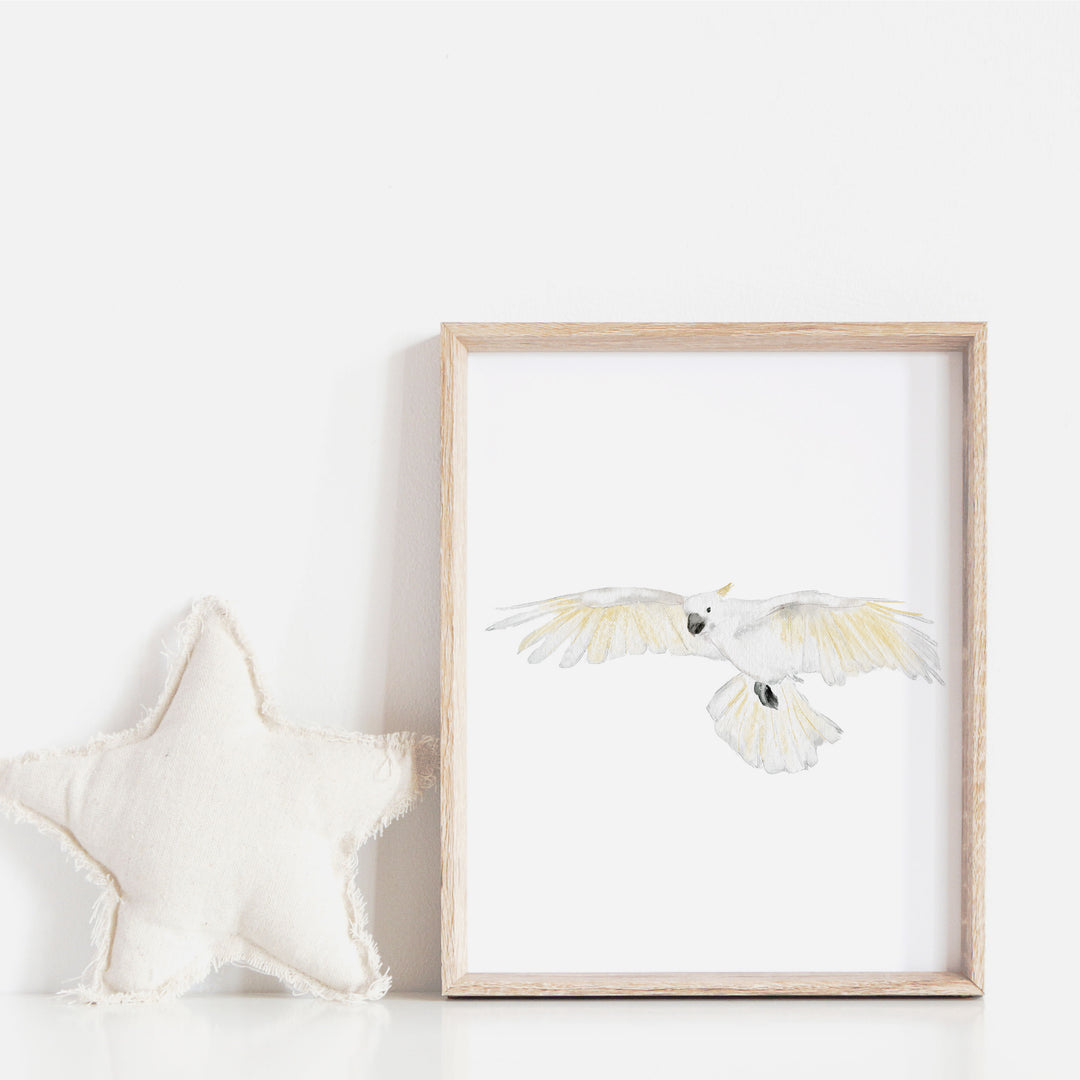 Print - Australian animals - cockatoo in flight