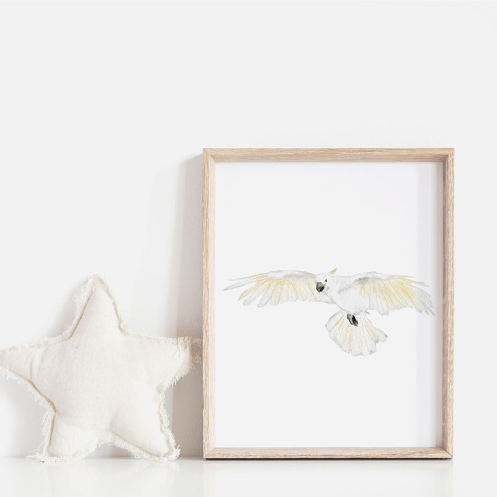 Print - Australian animals - cockatoo in flight