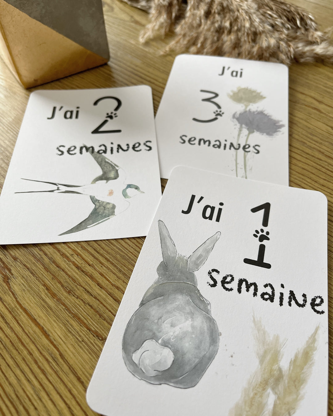 Cartes-étapes · bébé · À la ferme