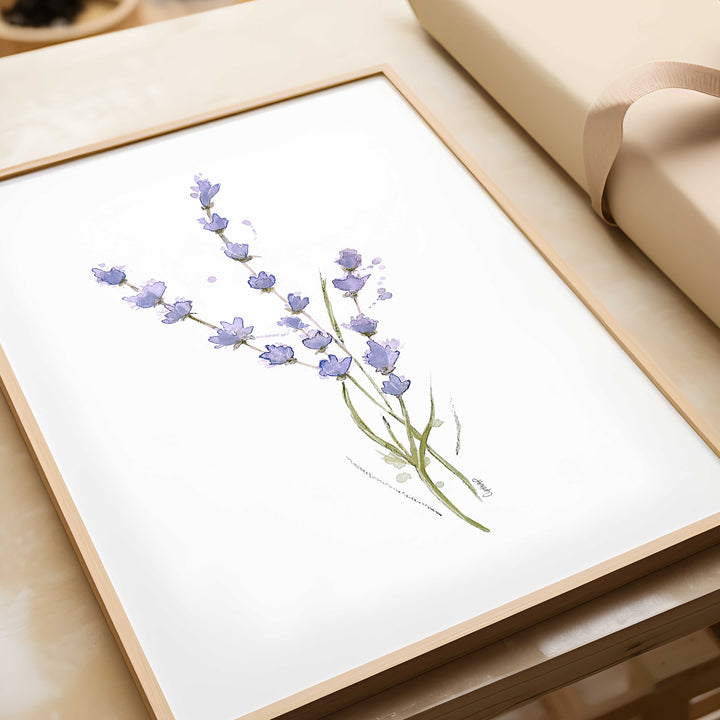Illustration - Trio fleurs de lavande