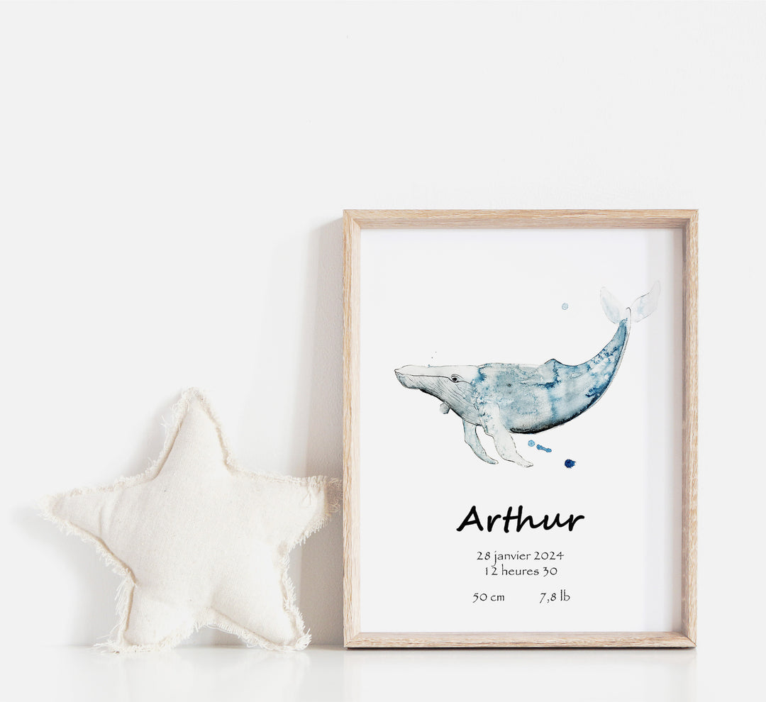 Birth poster - The humpback whale