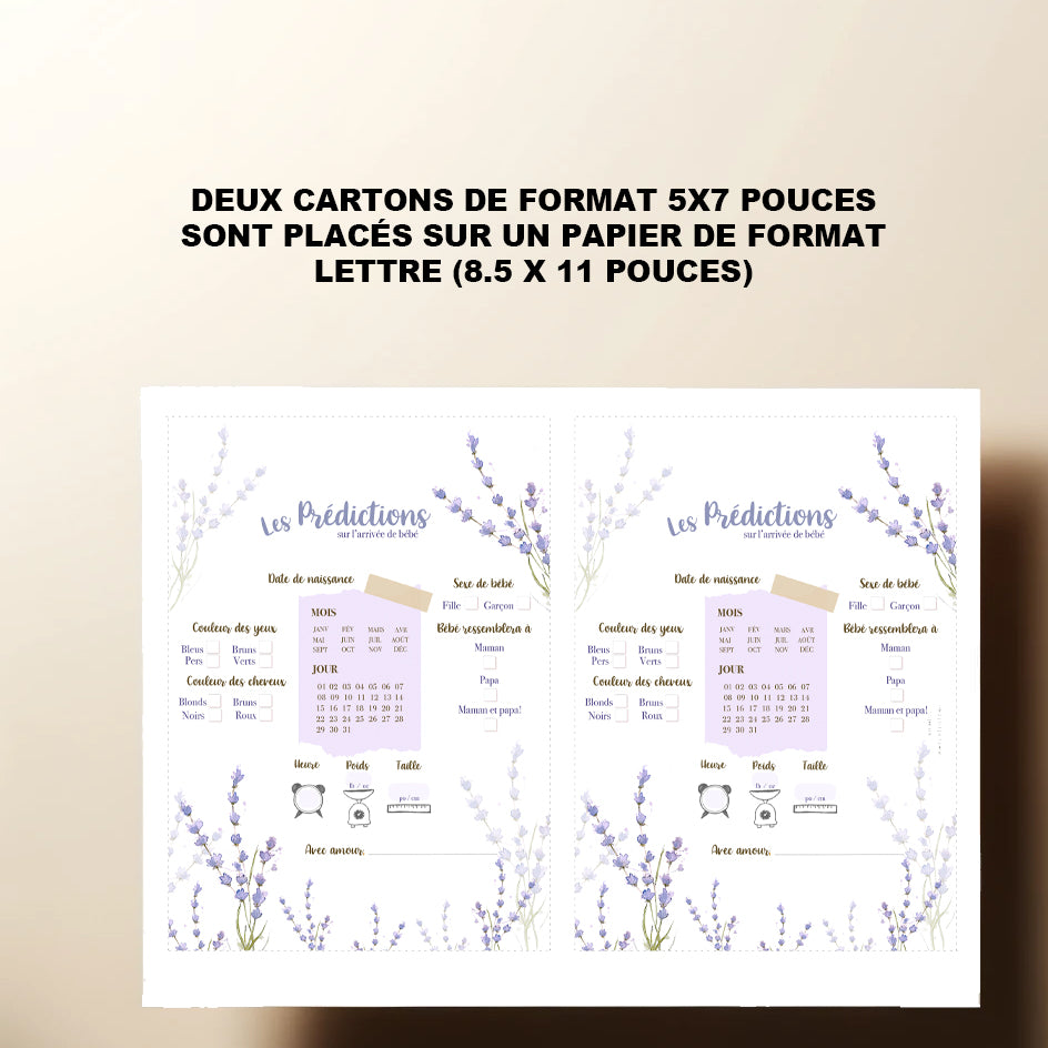 Duo : Cartons les prédictions et souhaits de bébé lavande (version numérique seulement)