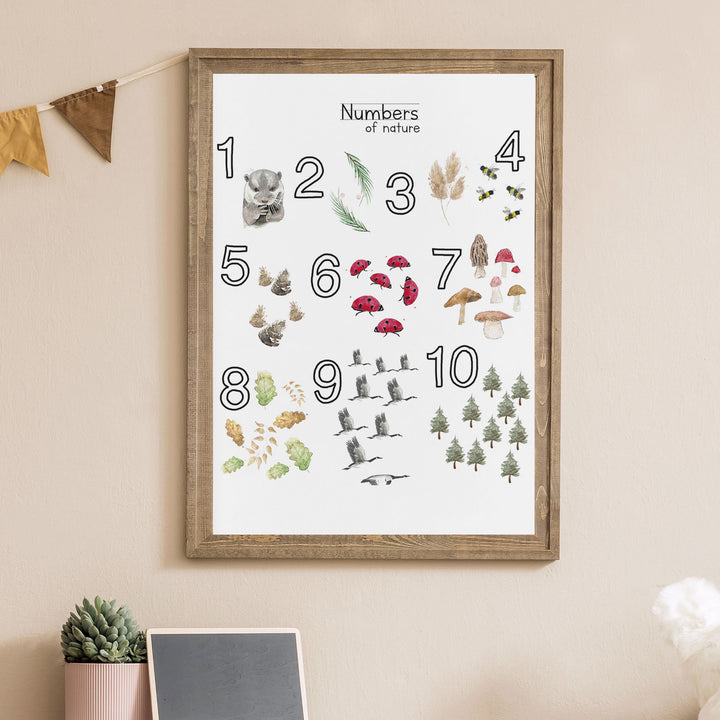 Educational Print:  Numbers of nature