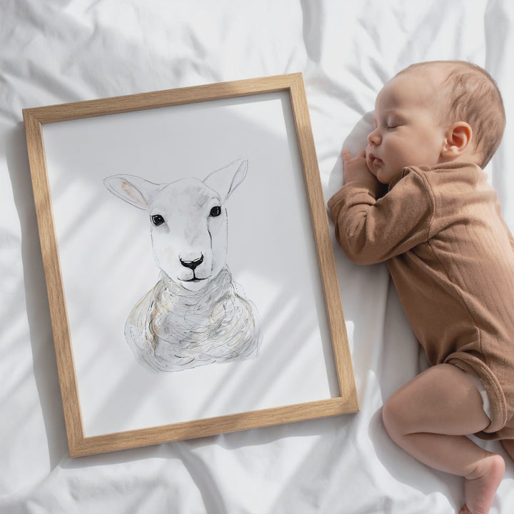 Illustration - Farm Animals - Sheep