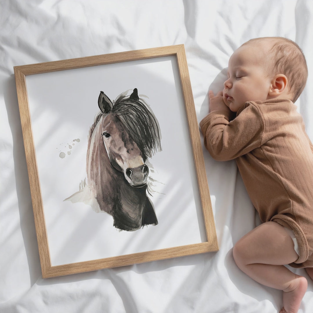 Illustration - farm animals - young horse
