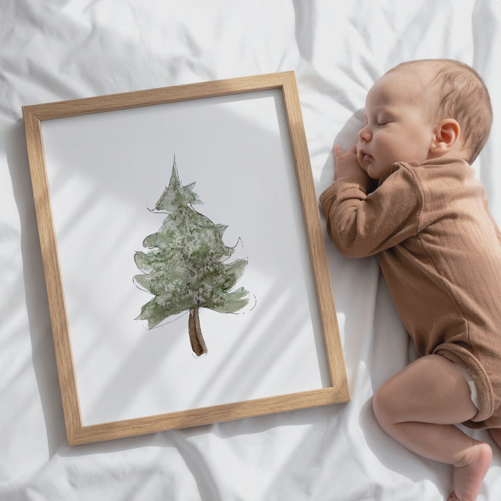 Wall Poster - Boreal Fir