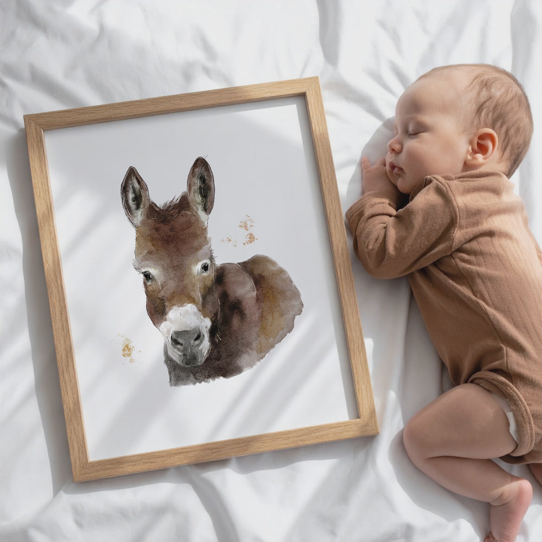 Illustration - Farm Animals - Donkey