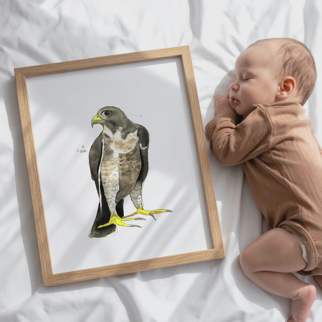 Wall poster - Falcon