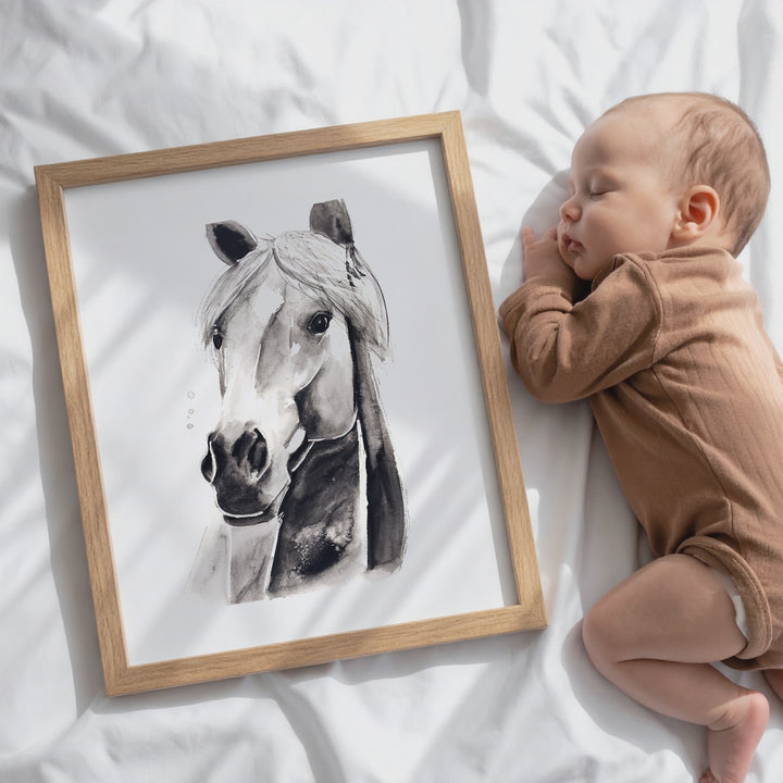 Printed illustration - farm animals - grey horse