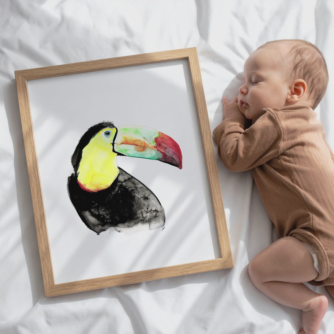 Illustration - Oiseaux - Toucan