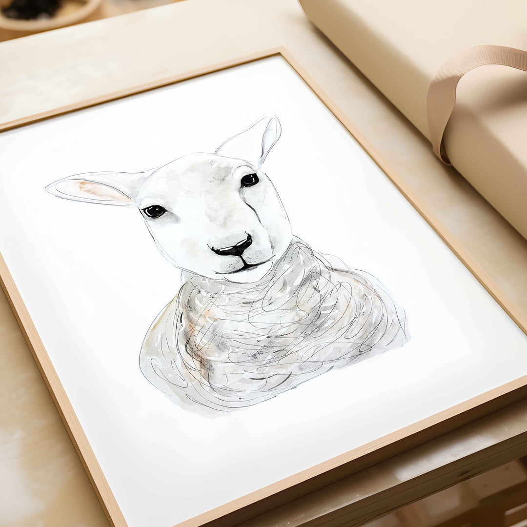 Illustration - Farm Animals - Sheep