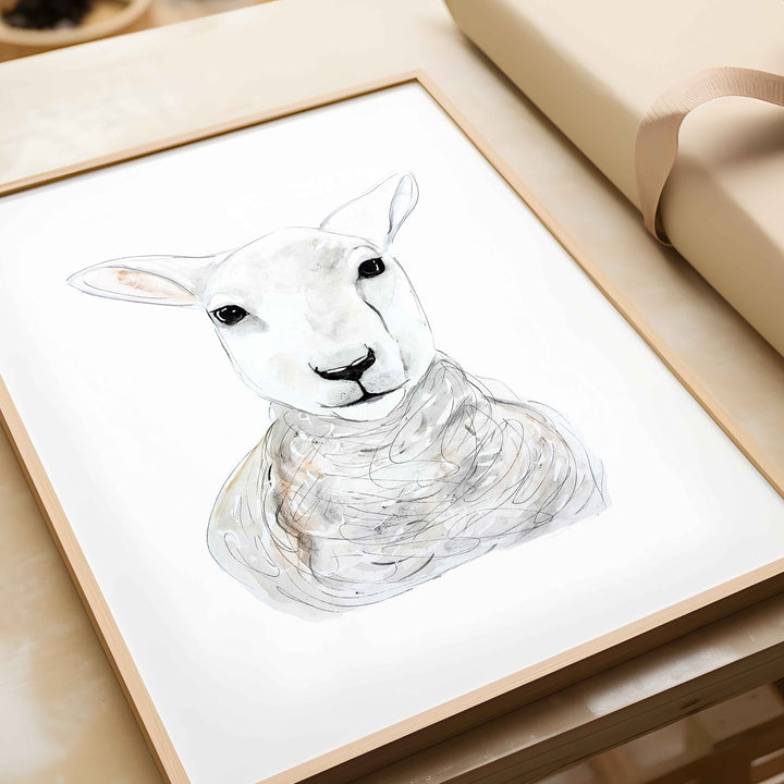 Illustration - Farm Animals - Sheep