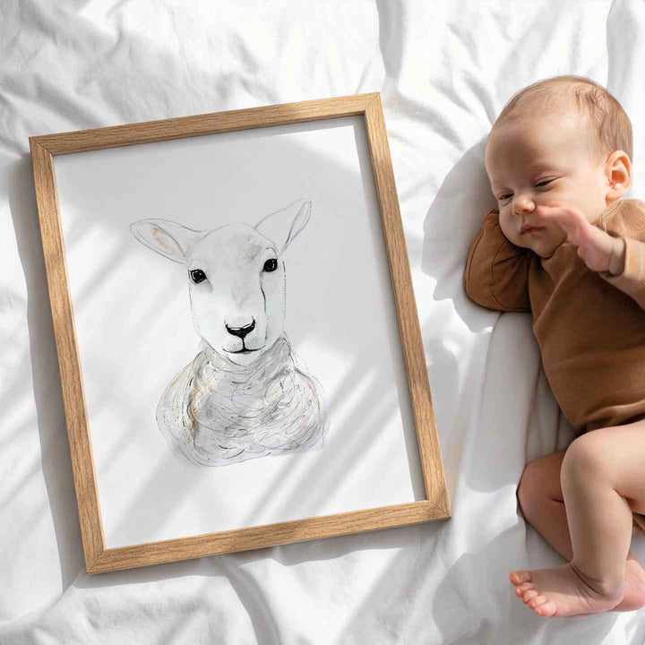 Illustration - Farm Animals - Sheep