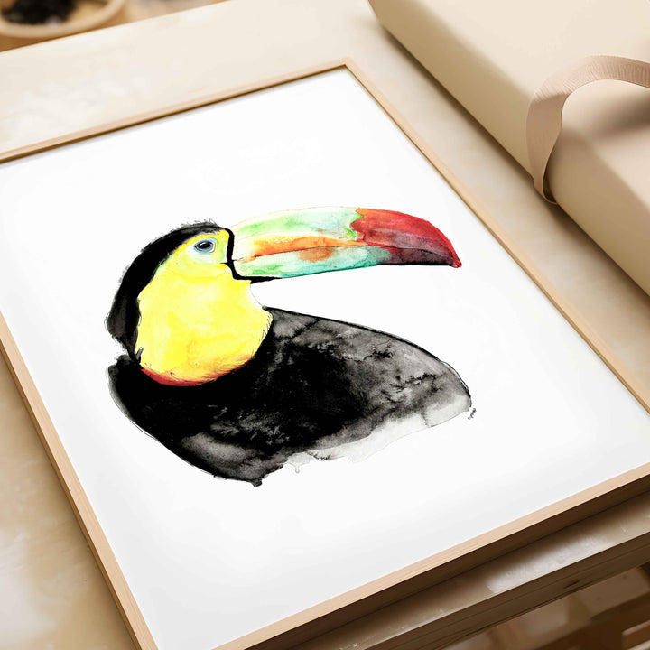 Illustration - Oiseaux - Toucan