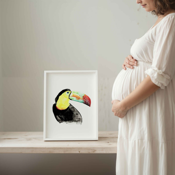 Illustration - Oiseaux - Toucan