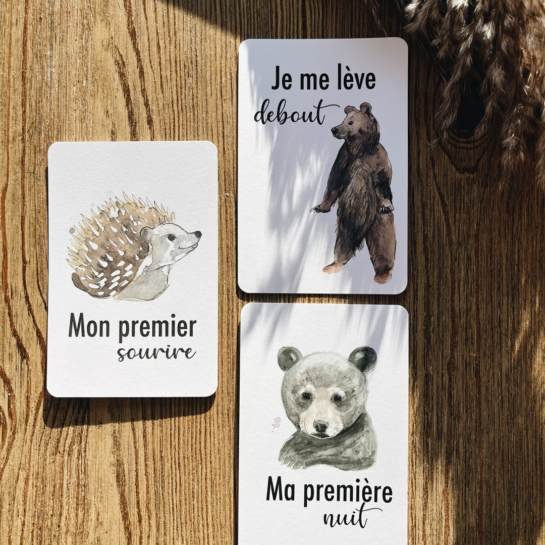 Cartes étapes bébé animaux de la forêt -  France