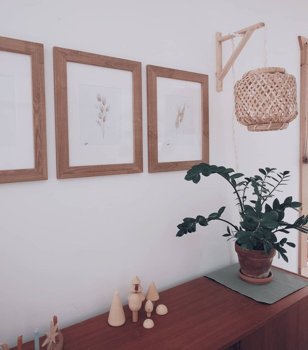 Ensemble d'illustrations pampas