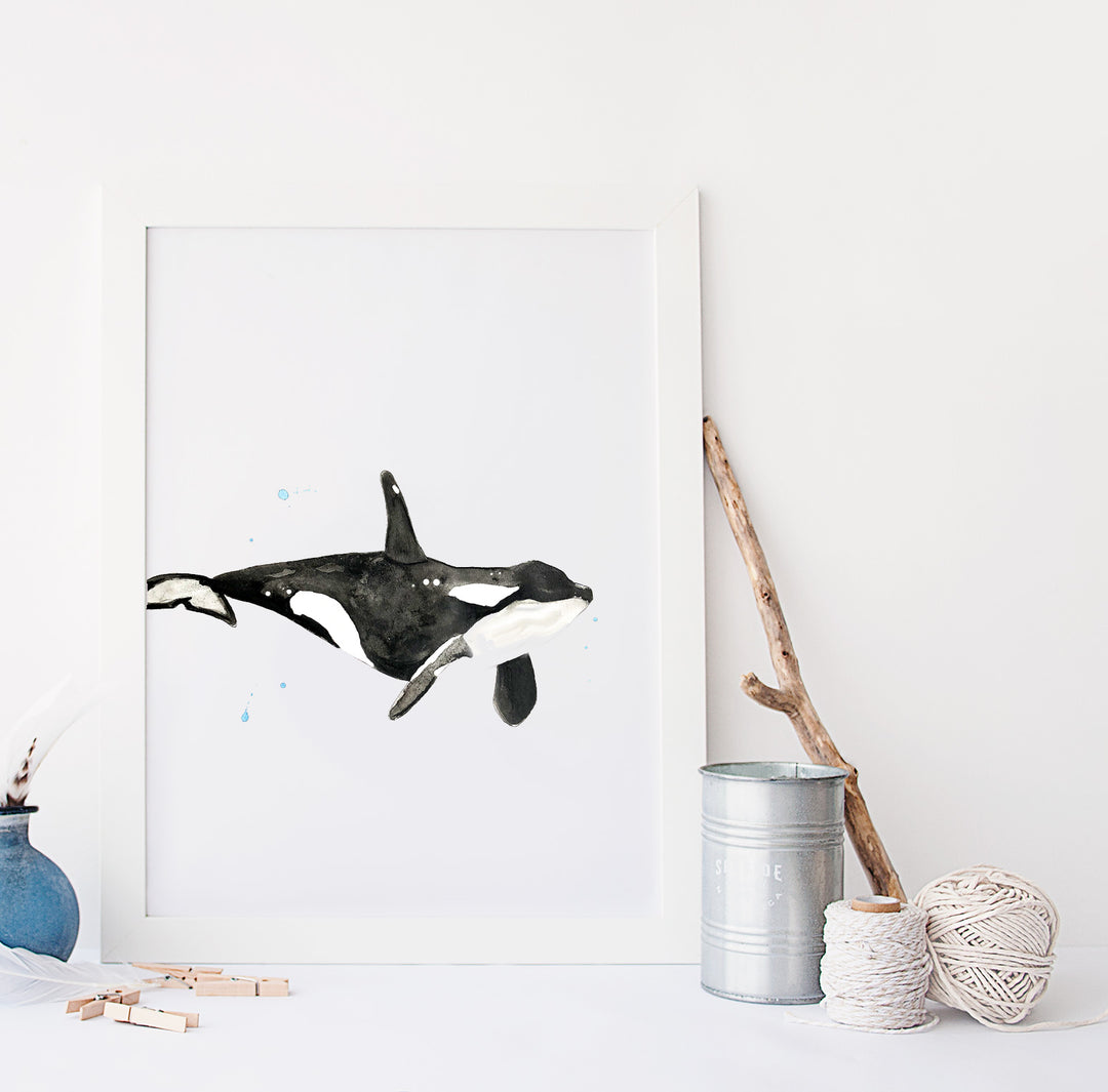 Illustration - Marine animals - Whale