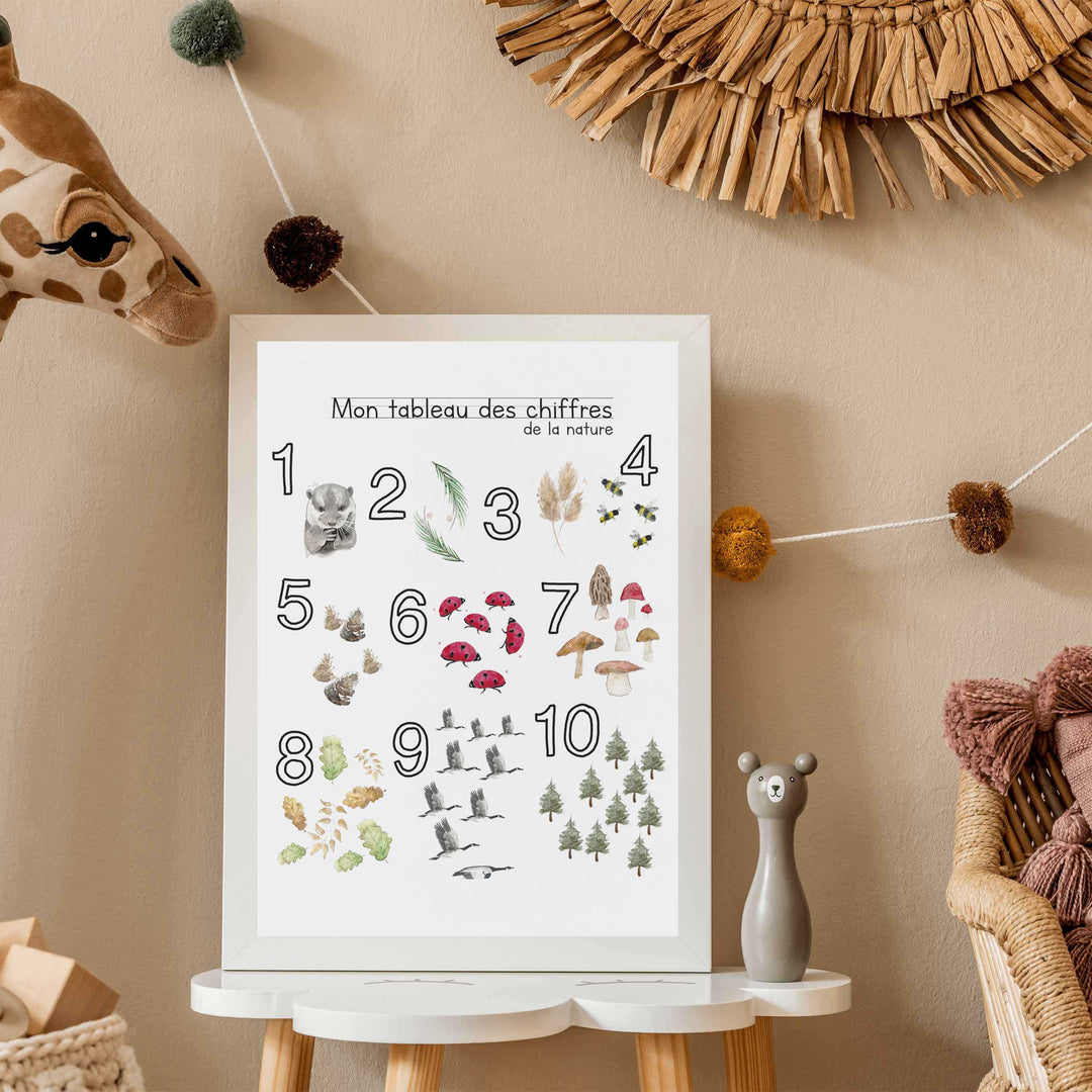 Educational Print:  Numbers of nature