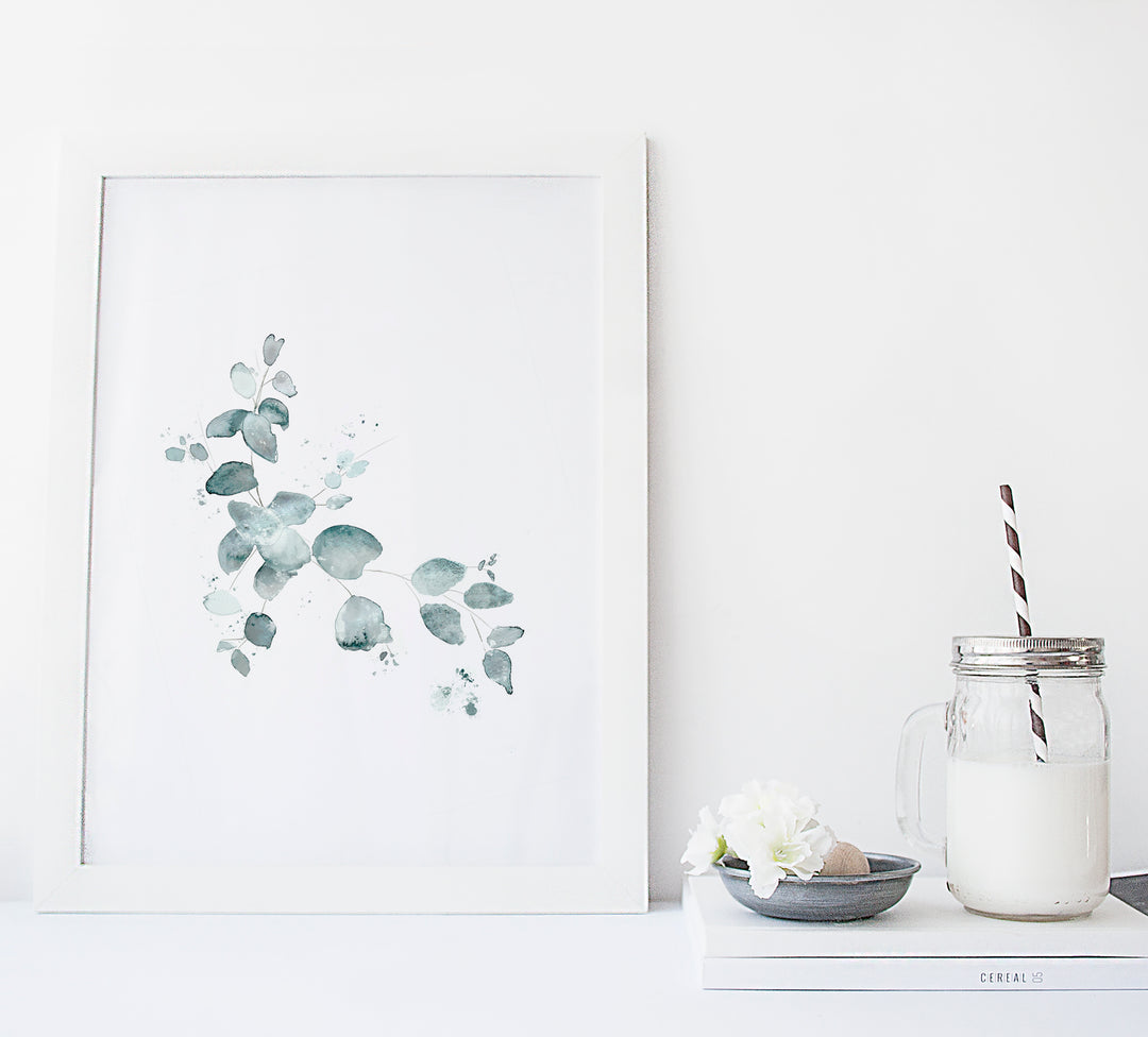 Set of illustrations - Botany - Eucalyptus