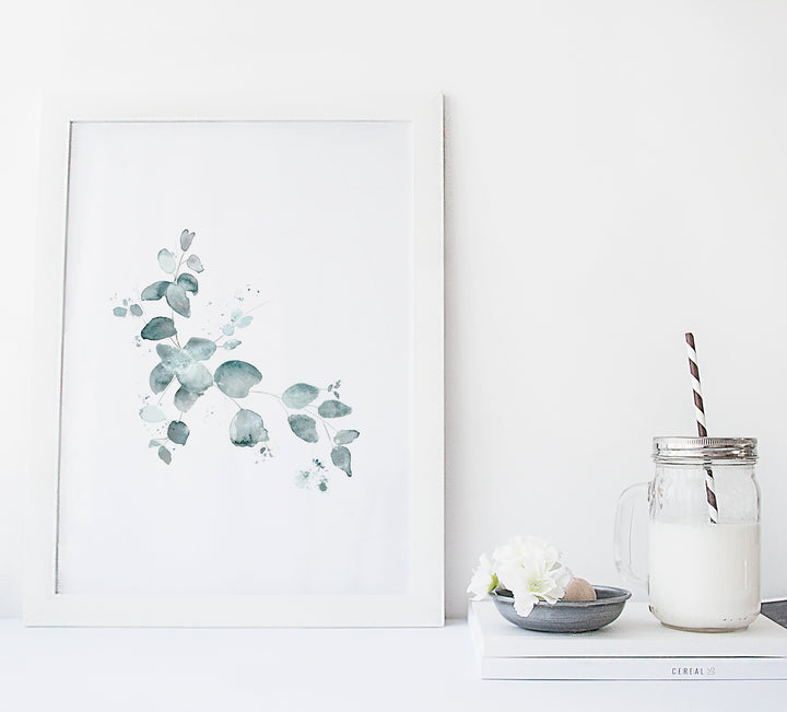 Set of illustrations - Botany - Eucalyptus