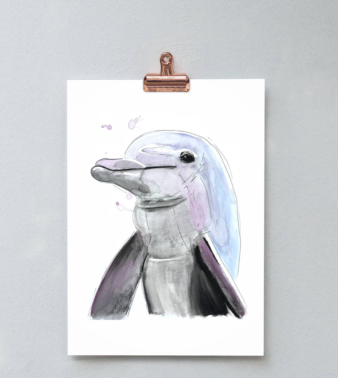 Illustration - Marine animals - Dolphin